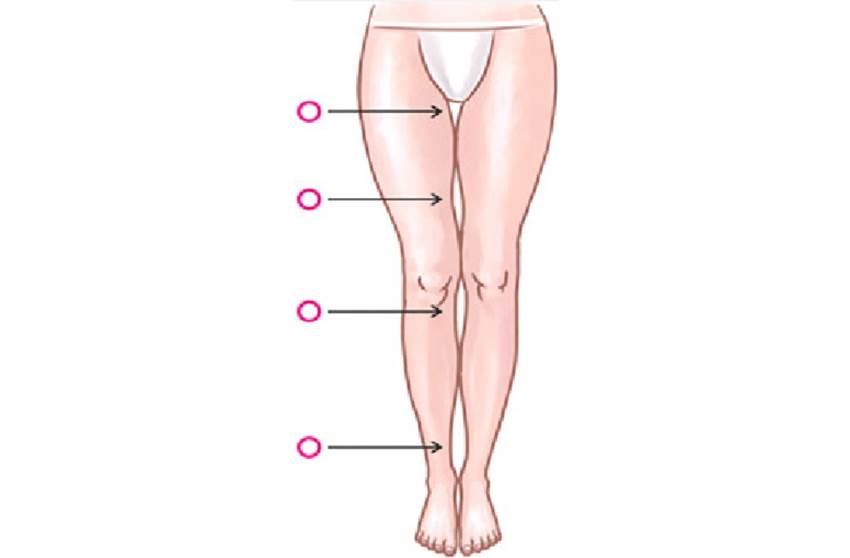 10 параметров идеальных женских ног