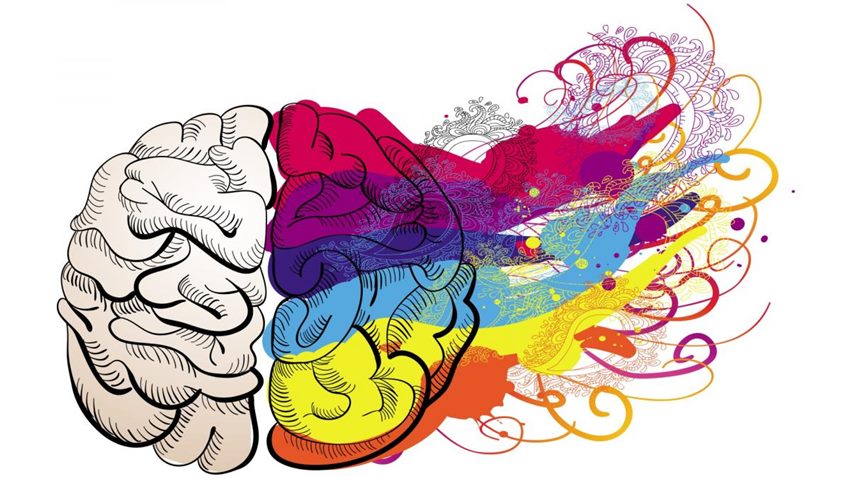 Связь интуиции с полушариями мозга