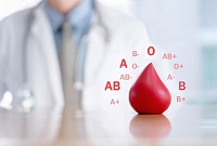 Питание по группе крови: как правильно составить рацион